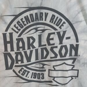 Harley-Davidson Gray Tie-Dye Short Sleeve Tee Men’s Large